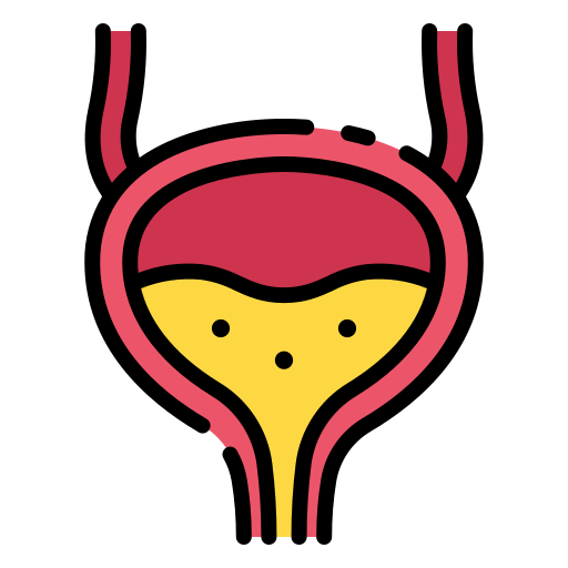 interstitial-cystitis-en